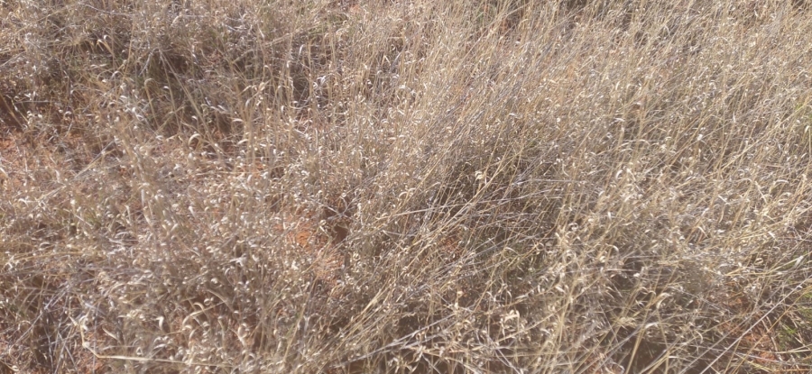 Commercial Property for Sale in Warrenton Northern Cape
